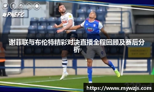 JN体育